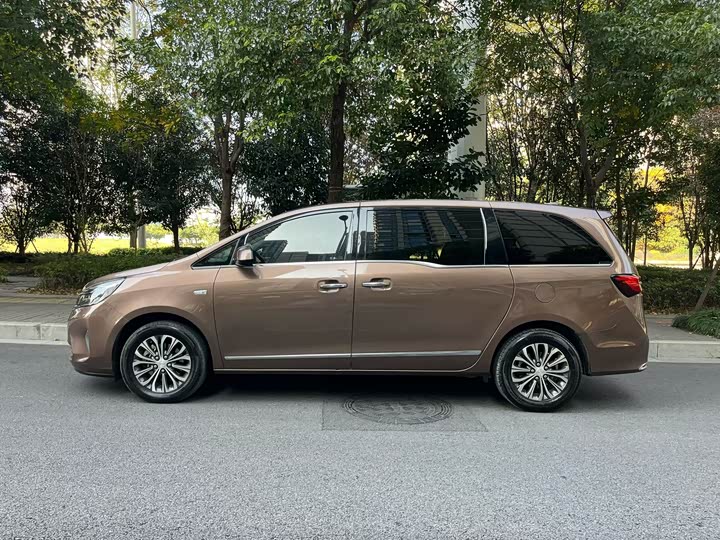 Фото 4 - Buick GL8 ES