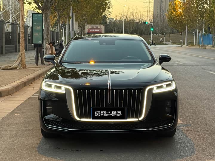 Фото 2 - Hongqi H9