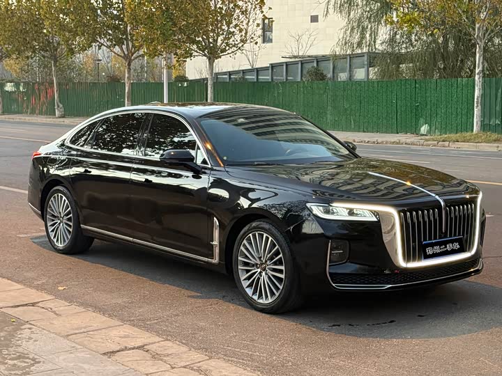 Фото 3 - Hongqi H9