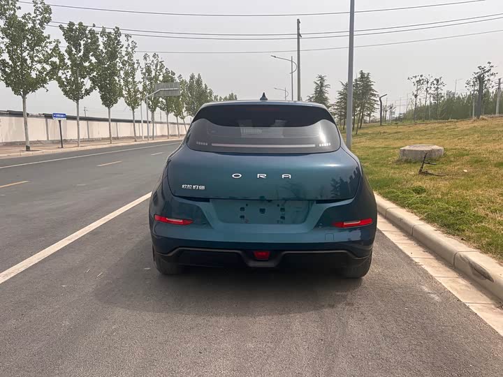 Фото 10 - Ora Good Cat (03)