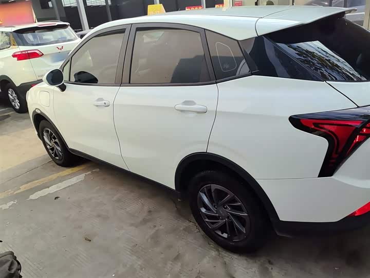 Фото 5 - Hozon V