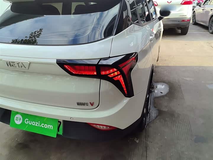 Фото 8 - Hozon V