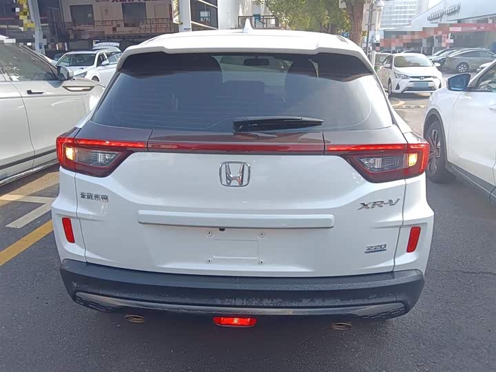 Фото 6 - Honda XR-V