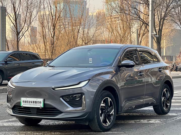 Фото 1 - Hozon X