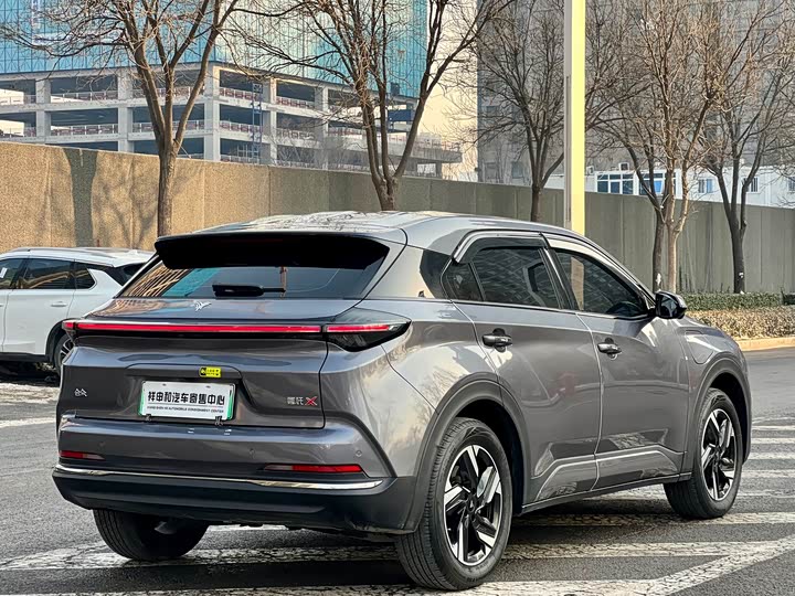 Фото 11 - Hozon X