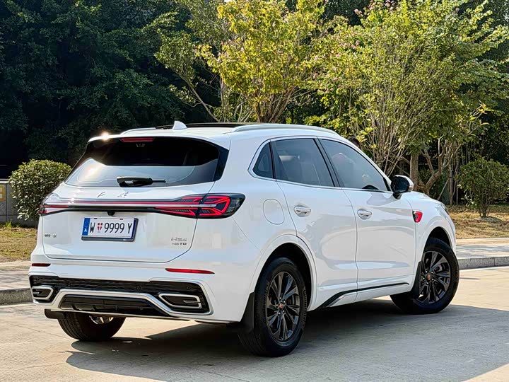 Фото 13 - Hongqi HS5