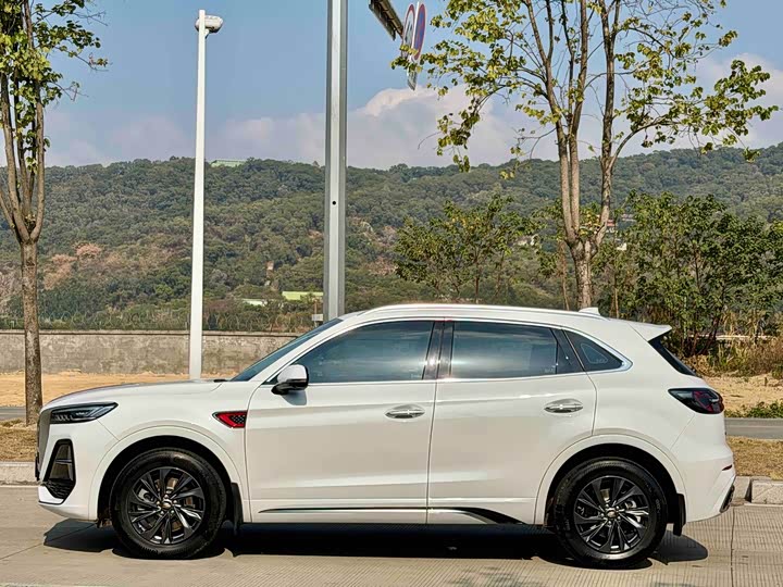 Фото 4 - Hongqi HS5