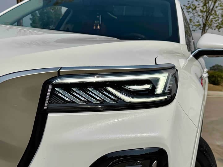 Фото 5 - Hongqi HS5