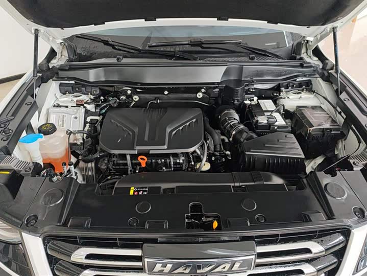 Фото 10 - Haval Dargo