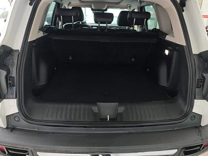 Фото 4 - Haval Dargo