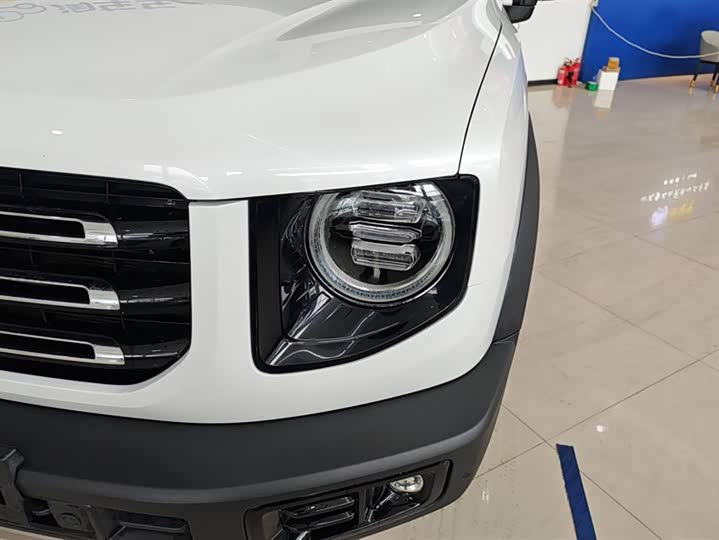 Фото 5 - Haval Dargo