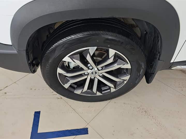 Фото 6 - Haval Dargo