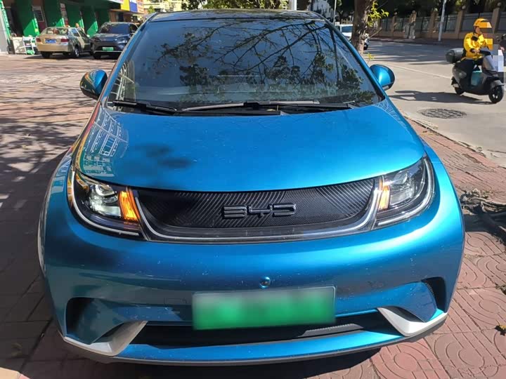 Фото 3 - BYD Dolphin