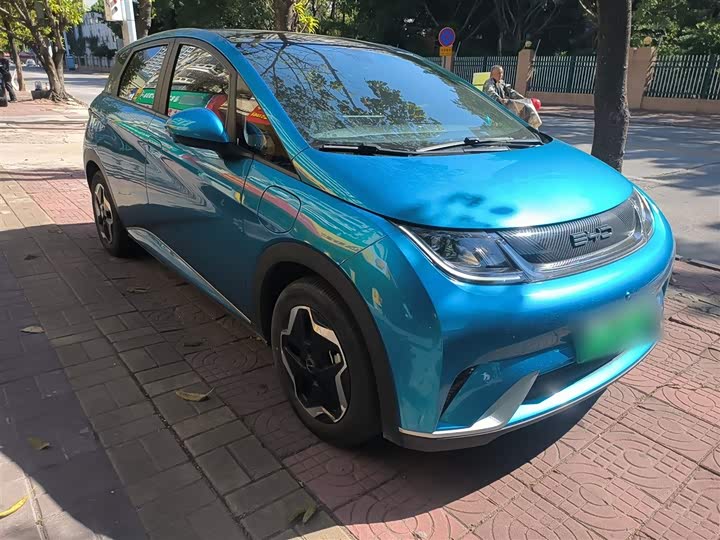 Фото 4 - BYD Dolphin