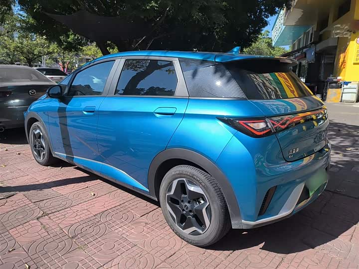 Фото 5 - BYD Dolphin