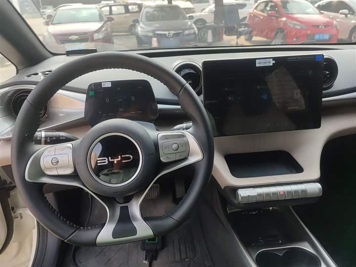 Фото 10 - BYD Dolphin