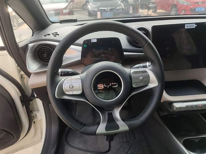 Фото 11 - BYD Dolphin