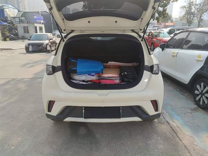 Фото 19 - BYD Dolphin