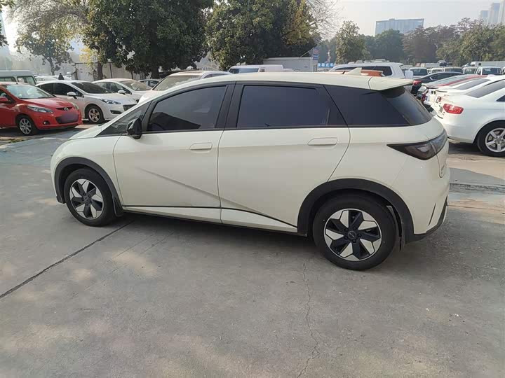 Фото 5 - BYD Dolphin