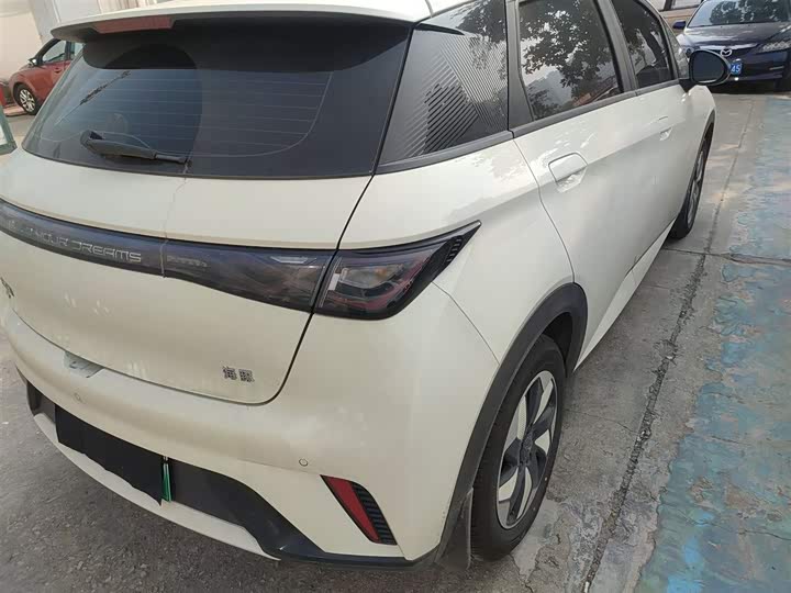 Фото 8 - BYD Dolphin