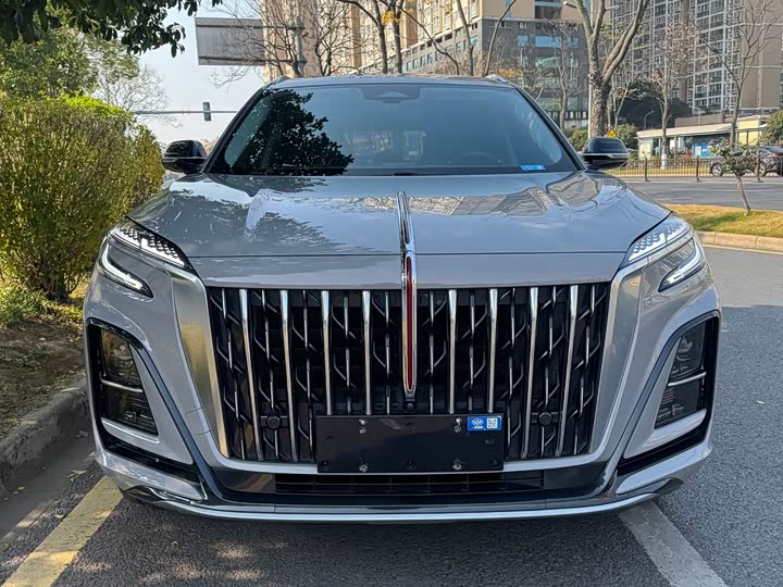 Фото 2 - Hongqi HS3