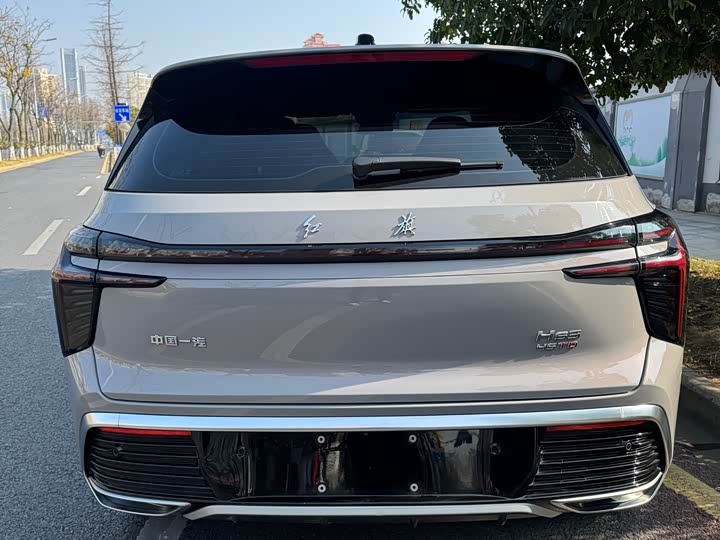Фото 7 - Hongqi HS3