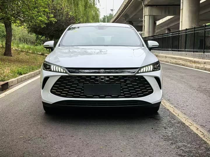 Фото 2 - BYD Qin Plus