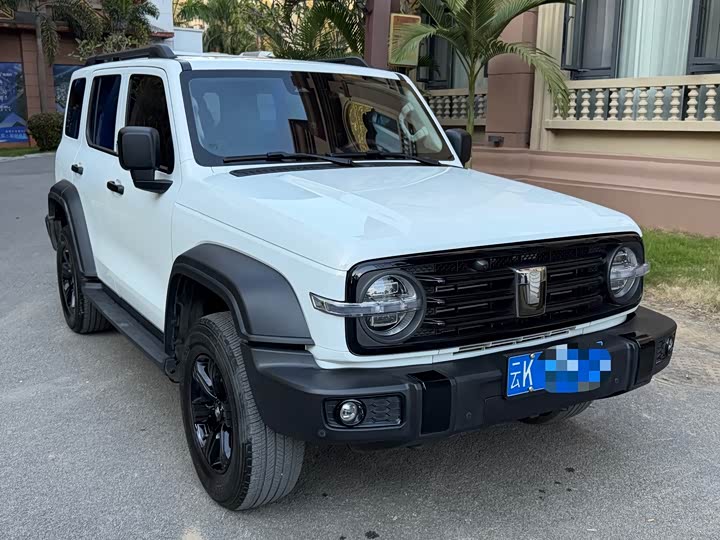 Фото 3 - Tank 300