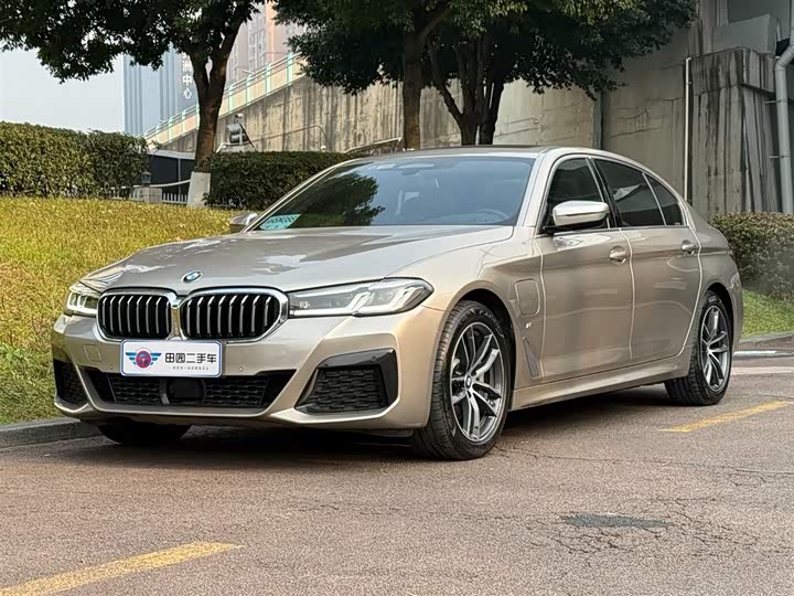 Фото 1 - BMW 5 Series Hybrid