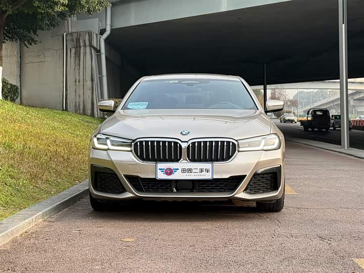 Фото 2 - BMW 5 Series Hybrid