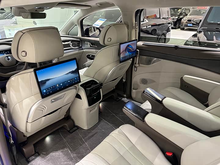 Фото 10 - Denza D9