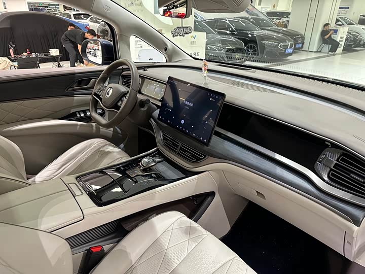 Фото 11 - Denza D9