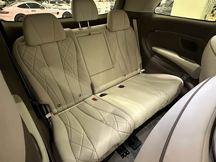 Фото 13 - Denza D9