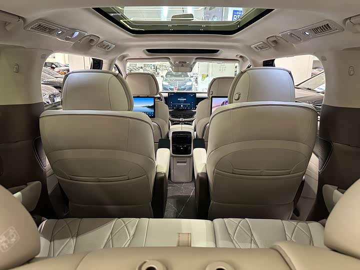 Фото 14 - Denza D9