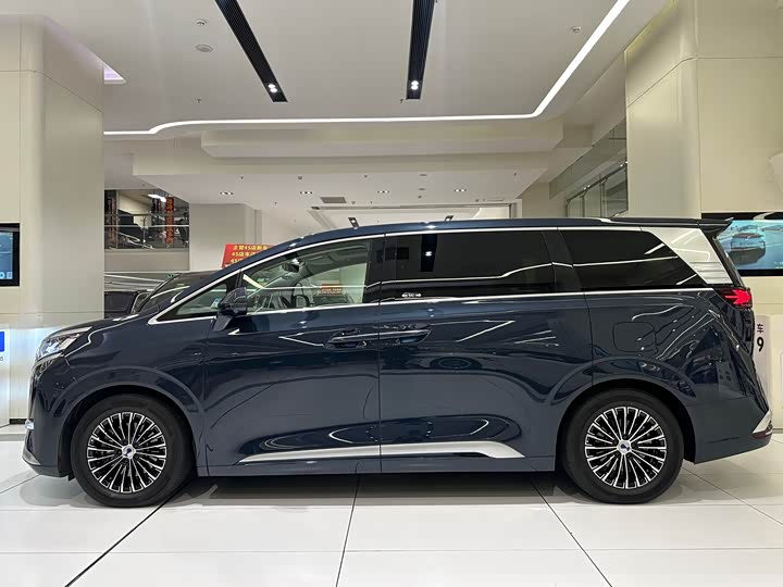 Фото 2 - Denza D9