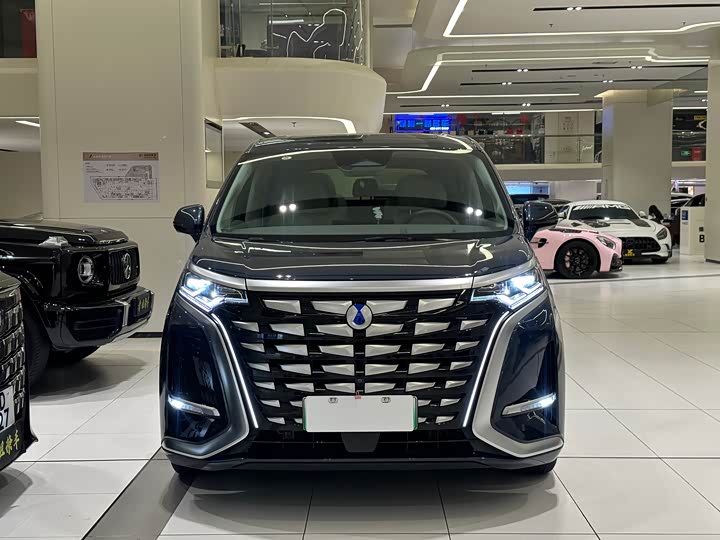 Фото 4 - Denza D9