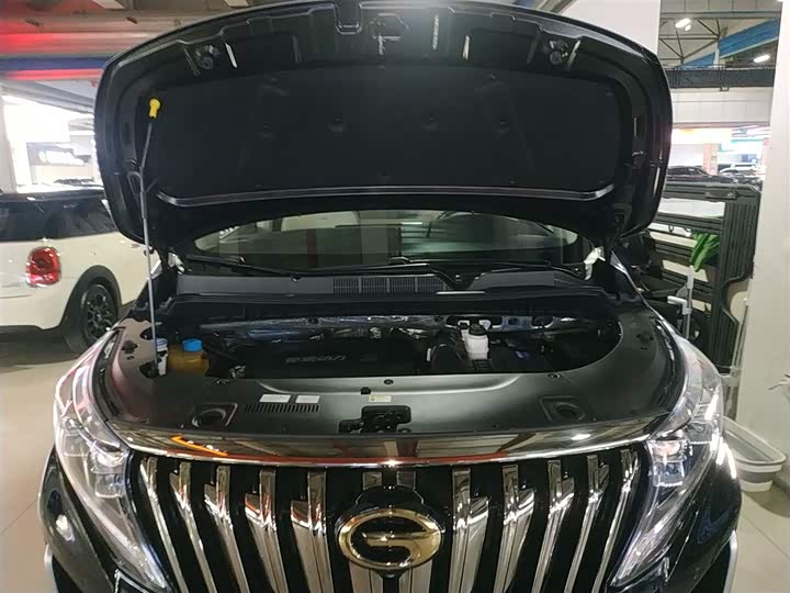 Фото 20 - GAC Trumpchi M8