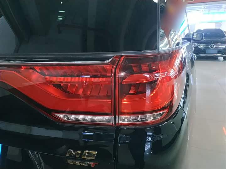 Фото 8 - GAC Trumpchi M8