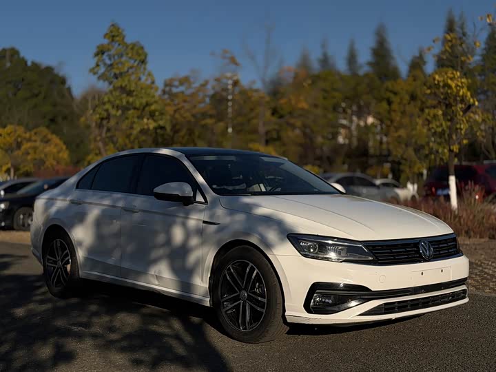 Фото 3 - Volkswagen Lamando L