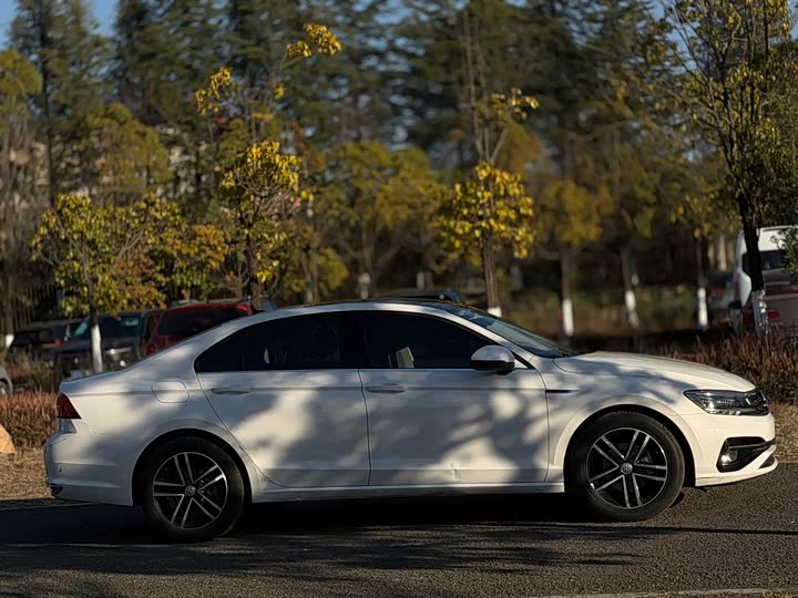 Фото 6 - Volkswagen Lamando L