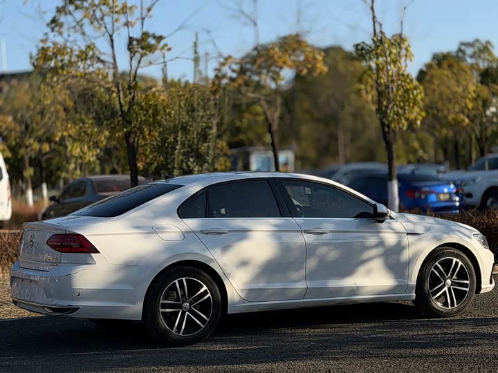 Фото 8 - Volkswagen Lamando L