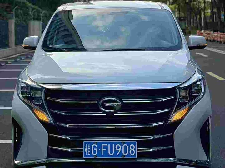 Фото 1 - GAC Trumpchi M8