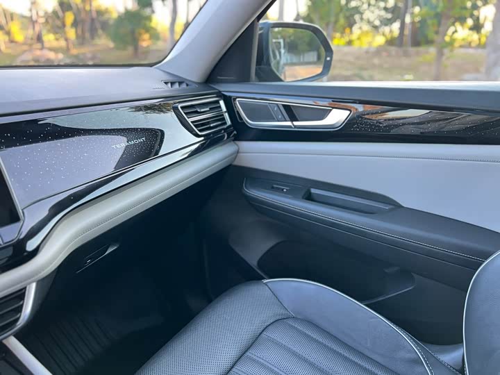 Фото 16 - Volkswagen Teramont Pro