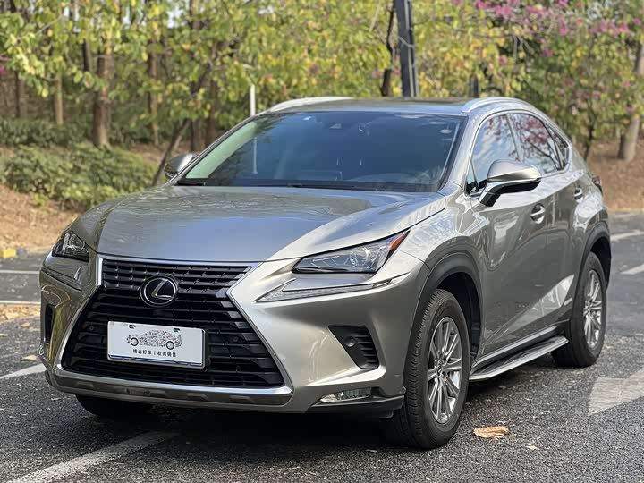 Фото 1 - Lexus NX