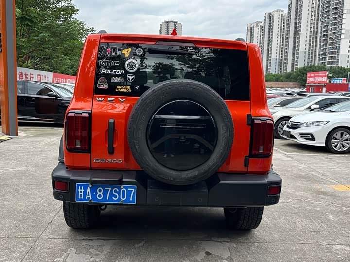 Фото 6 - Tank 300