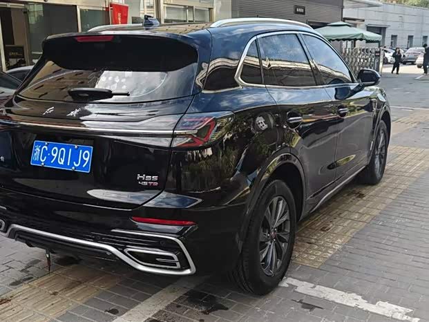 Фото 3 - Hongqi HS5
