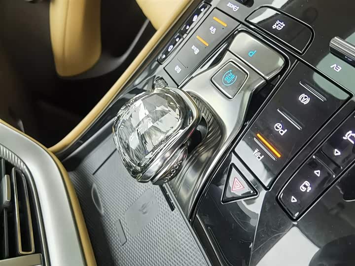 Фото 13 - Denza D9