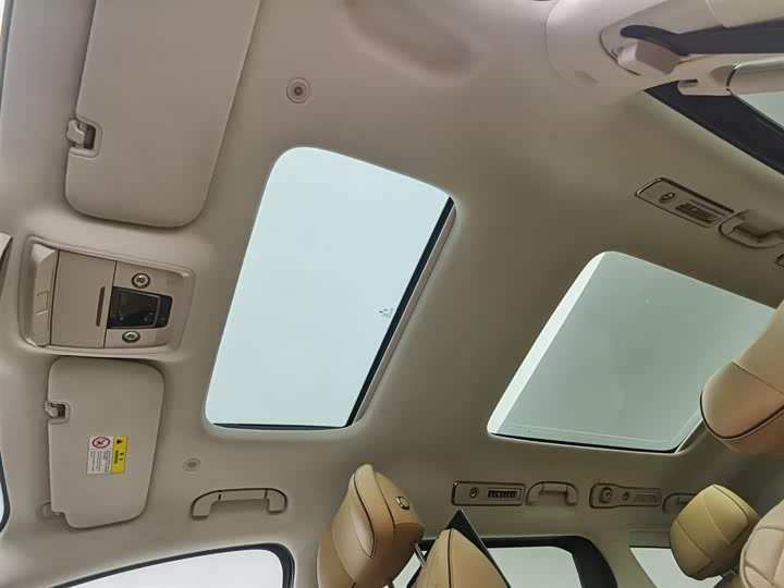 Фото 14 - Denza D9