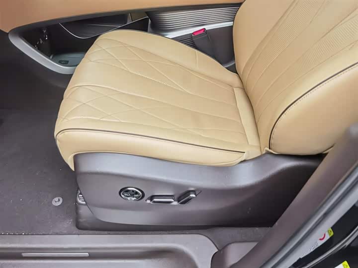 Фото 20 - Denza D9