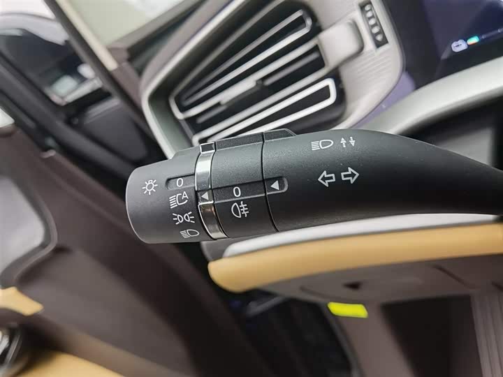 Фото 21 - Denza D9